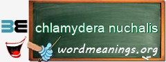 WordMeaning blackboard for chlamydera nuchalis